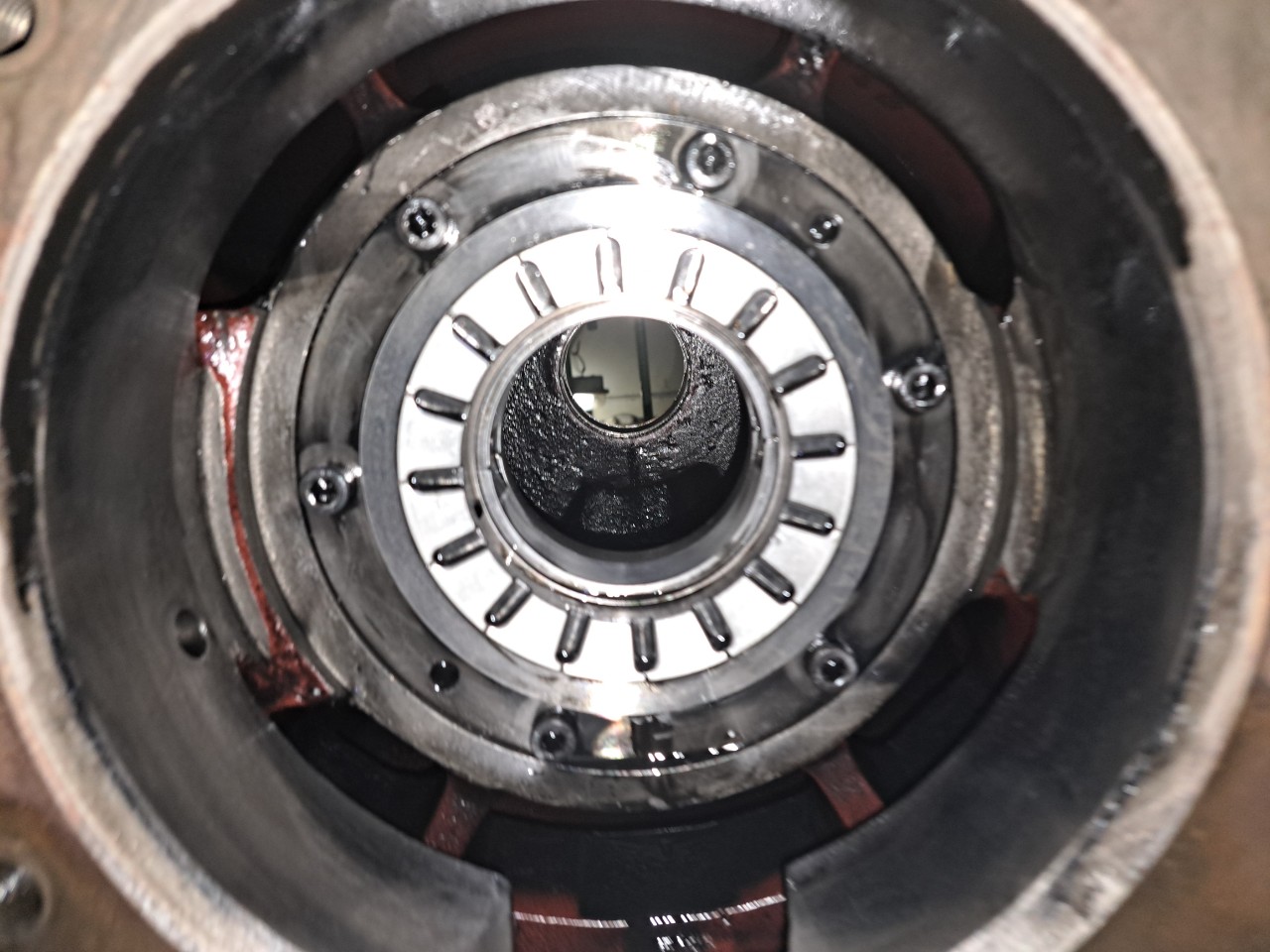 Remove Roto-shaft and all parts inside