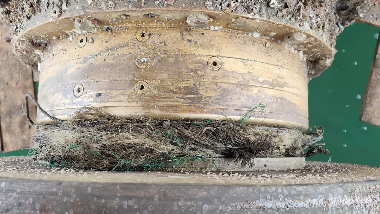 ABNORMAL STERN TUBE OIL LOSS LEADS TO SEVERE BEARING DAMAGE
